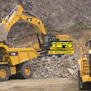 CATERPILLAR BLESSINDO (10)